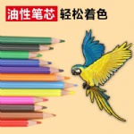 Back to School Eco friendly wood-free plastic 12 Color pencil